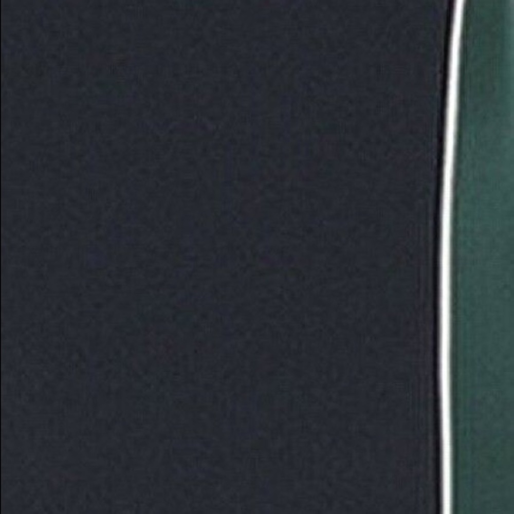 Alexia Admor Mockneck Color Block Sheath Dress - image 3